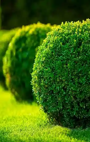 Landscaping and Exterior Maintenance