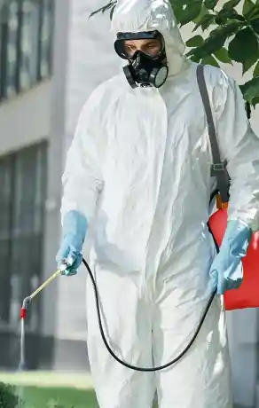 Pest Control delhi