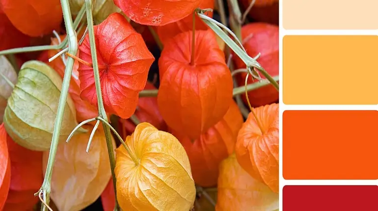 office design color palette