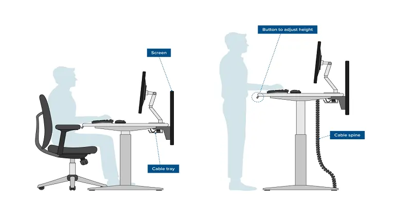 office ergonomic